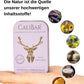 Vorteilsset: 3x Calibar® No.6 Lavendel - Feste Handcreme