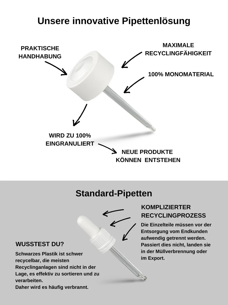 Pflaumenkernöl - Bio Qualität - kaltgepresst